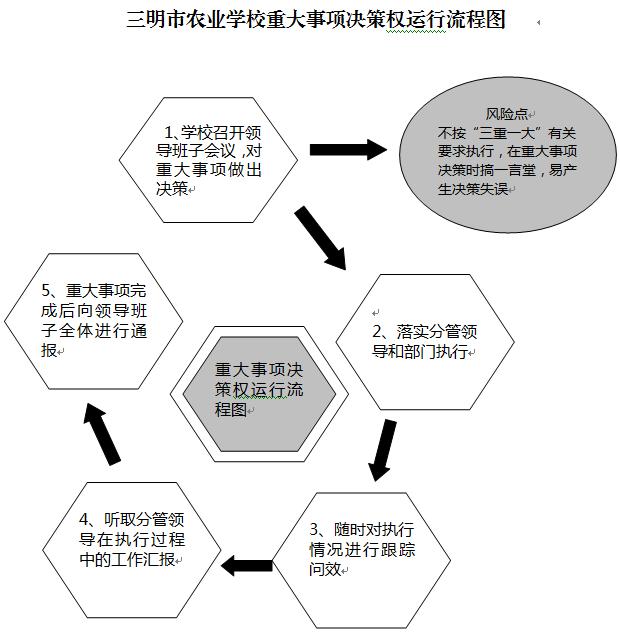 米兰（中国）重大事项决策权运行流程图.JPG