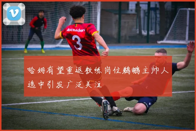 哈姆有望重返教练岗位鹈鹕主帅人选中引发广泛关注
